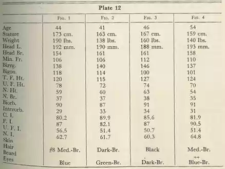 Plate 12